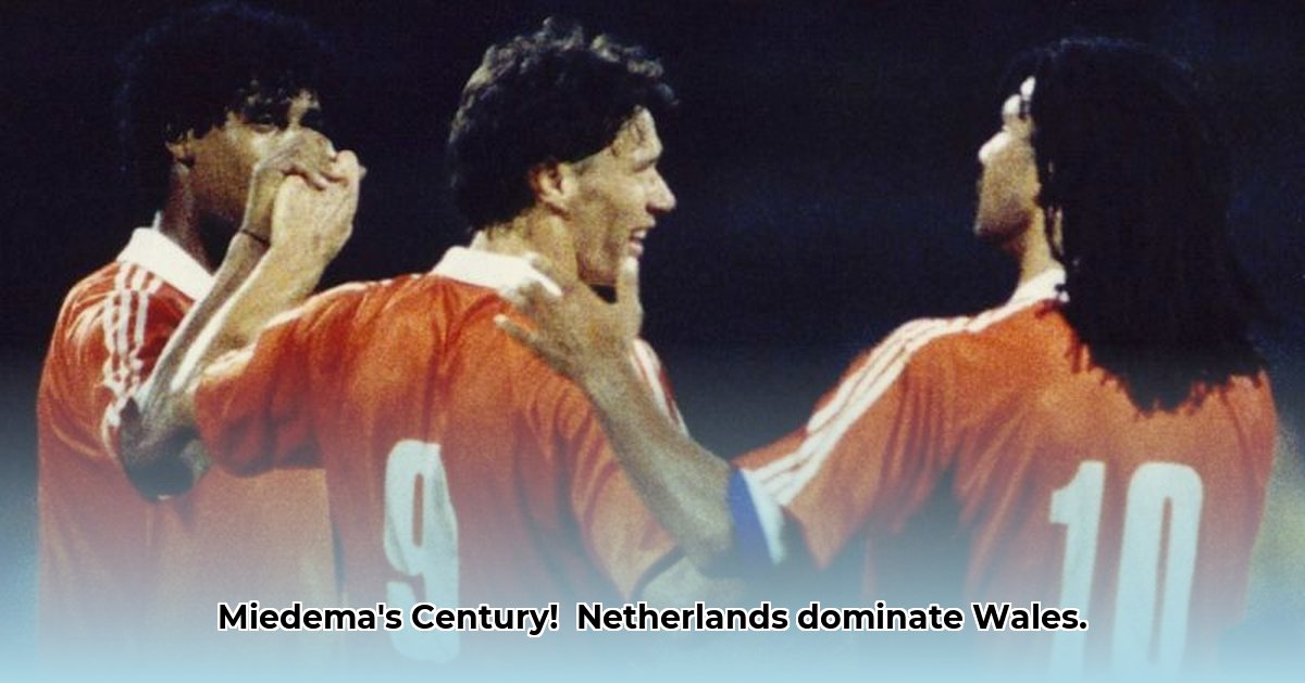 uitslag-nederland-wales